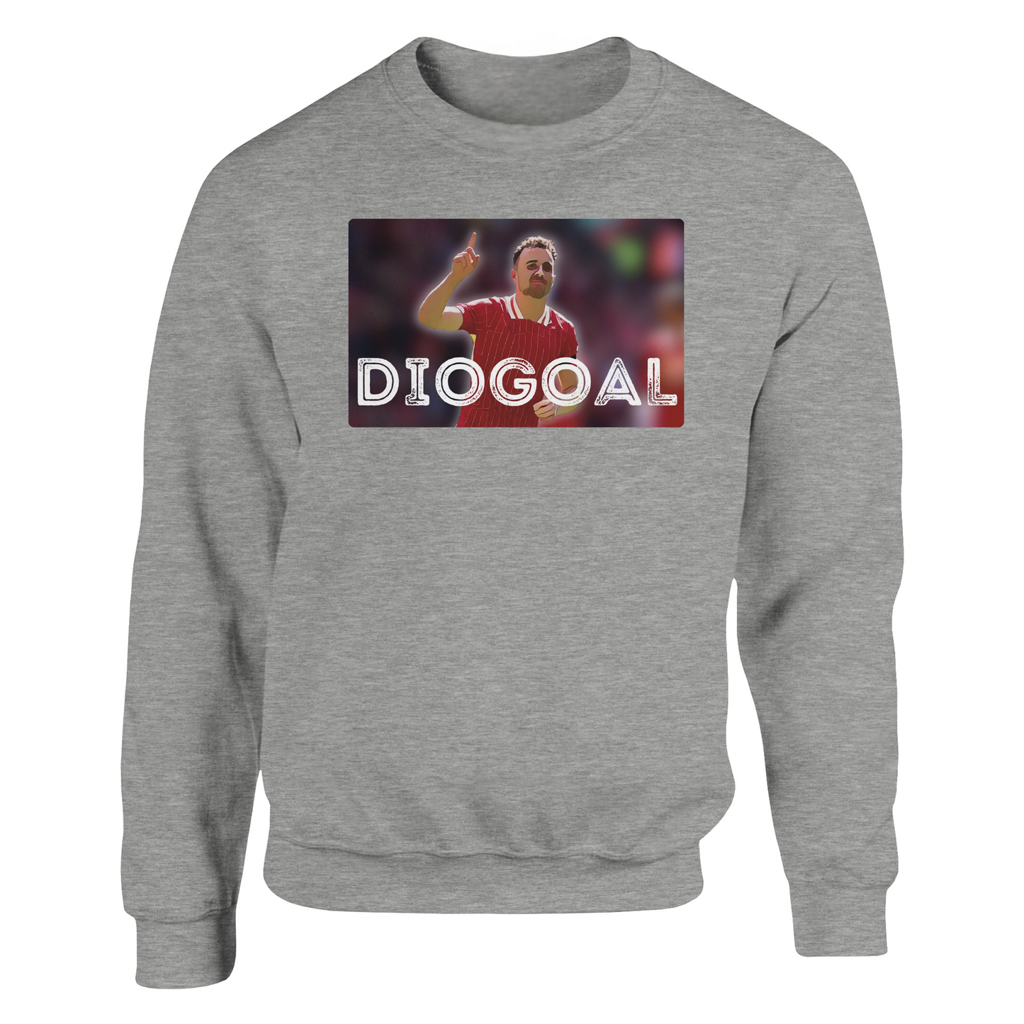 diogoal grey sweatshirt